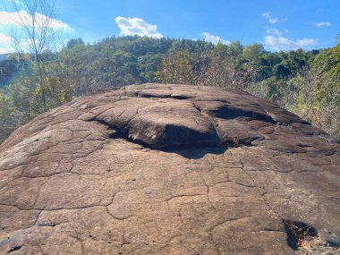 Güneşli bir günde dinlenen insanlarla dolu pembe kiraz çiçeklerinin açtığı bir tarla..