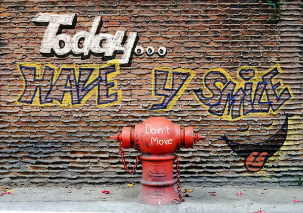 Pintura de calle en la pared e hidrante — Foto de Stock