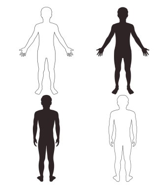 erkek vücut parçası