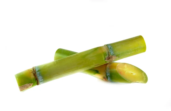 Sugar cane on white background — Stock Photo, Image