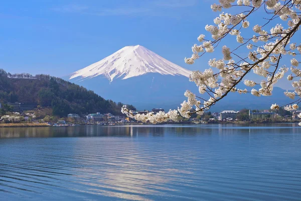 Fuji Dağı ve Cherry Blossom Kawaguchiko Gölü