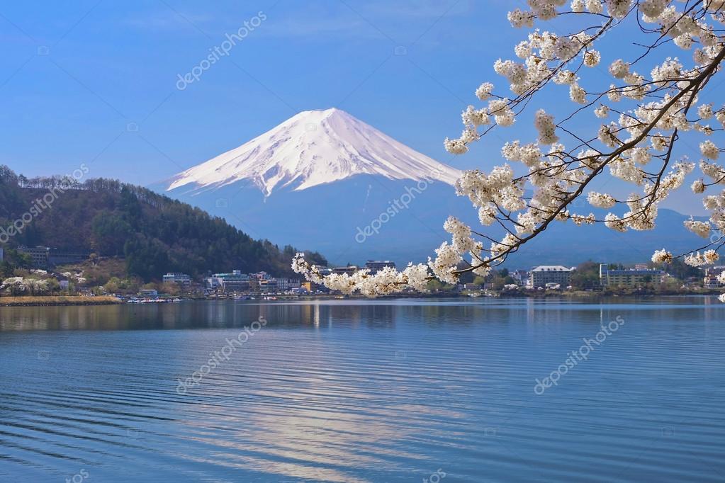 富士山と桜河口湖 ストック写真 C Thewet 富士山と桜河口湖 ストック写真 C Thewet