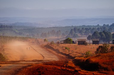 Kamboçya'da toprak yol