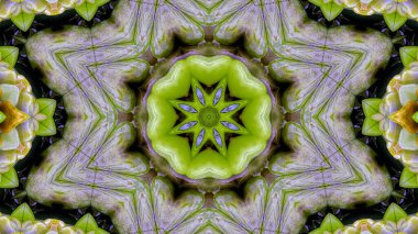 Tekstil, seramik, duvar kağıdı ve tasarım için çok güzel basılmış motifler. Kaleydoskop resimleri.