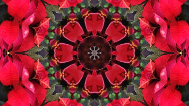 Tekstil, seramik, duvar kağıdı ve tasarım için çok güzel basılmış motifler. Kaleydoskop resimleri.