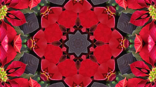 Very Beautiful Printed Motifs Textile Ceramic Wallpaper Design Kaleidoscope Images — Stock Photo, Image