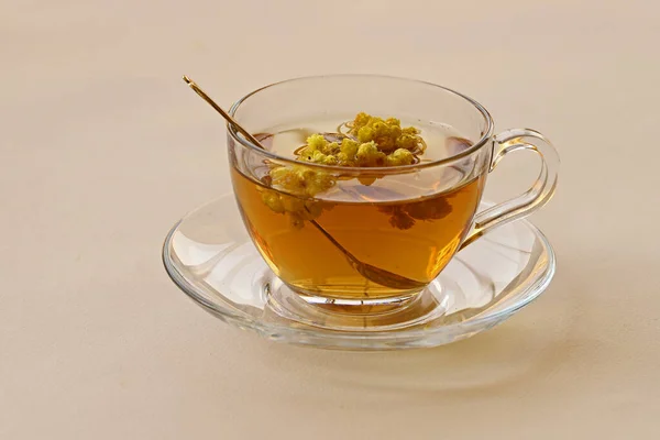 Herbata Goldengrass Helichrysum Arenarium Białym Tle — Zdjęcie stockowe