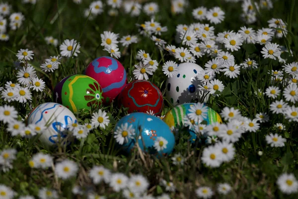 Красочные Пасхальные Яйца Среди Маргариток — стоковое фото
