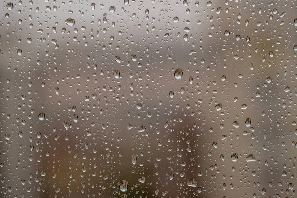 Rain Drops Glass — Stock Photo, Image