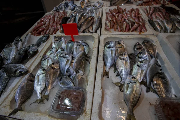市場に出回っている新鮮な魚は — ストック写真