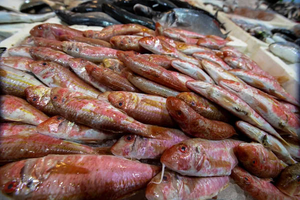 市場に出回っている新鮮なパブの魚は — ストック写真