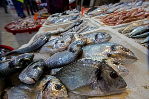 Свежий Морской Лещ Рынке — стоковое фото