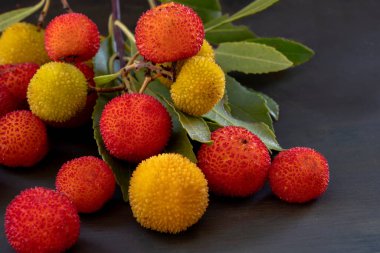 vahşi çilek (Fragaria vesca)