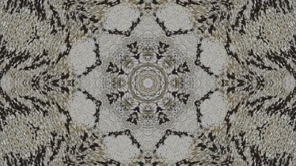 Têxtil Cerâmica Papel Parede Motivos Impressão Muito Bonitos Para Design — Fotografia de Stock