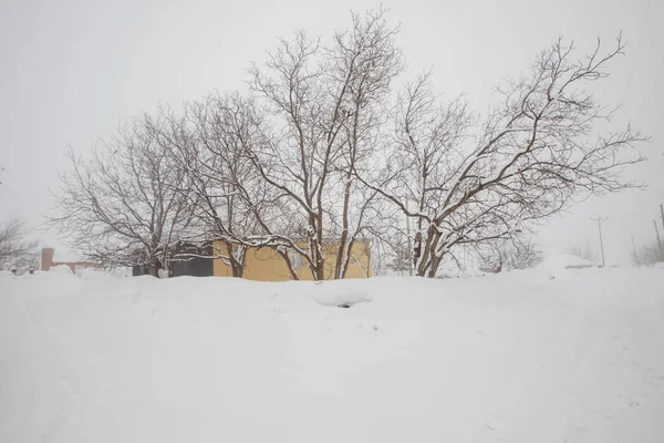 Туреччина Село Бінгл Деренай Снігові Фотографії Холодна Туманна Погода — стокове фото