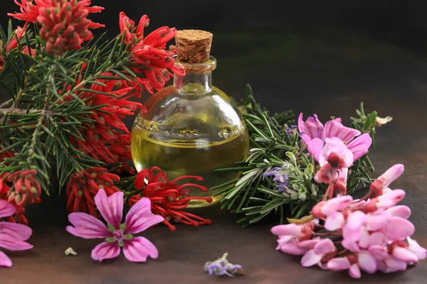 Spa Und Aromatherapie Öle Für Wellness Gesichts Und Körperpflege Massageöle — Stockfoto