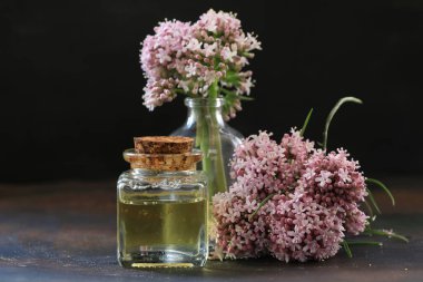 valerian and oil in a bottle (Valeriana officinalis) clipart