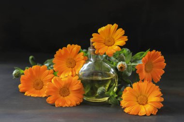 Kadife çiçekli Aromaterapi gerekli yağ - Calendula officinalis