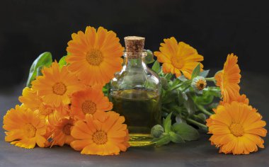 Kadife çiçekli Aromaterapi gerekli yağ - Calendula officinalis
