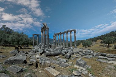 Euromos Antik Şehir. Zeus Lepsinos (Lepsinos) tapınağı 2. yüzyılda inşa edilmiştir. Milas, Mugla, Türkiye