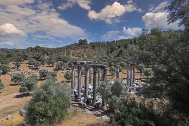Euromos Antik Şehir. Zeus Lepsinos (Lepsinos) tapınağı 2. yüzyılda inşa edilmiştir. Milas, Mugla, Türkiye