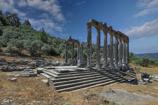 Euromos Cidade Antiga Templo Zeus Lepsinos Lepsynos Foi Construído Século — Fotografia de Stock