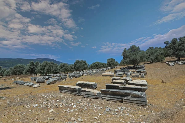 Euromos Ancient City Templo Zeus Lepsinos Lepsynos Fue Construido Siglo —  Fotos de Stock