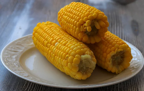 Boiled Corn White Plate — Stock Photo, Image