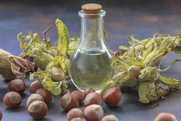 Avellanas Frescas Aceite Avellana Una Botella —  Fotos de Stock