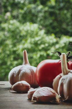 sarımsak ve domates