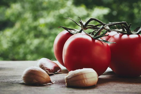 Tomaten und Knoblauchzehen — Stockfoto