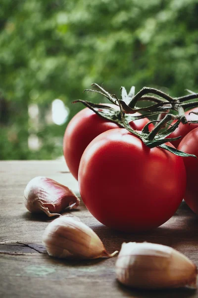 Tomaten und Knoblauchzehen — Stockfoto