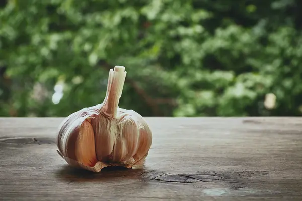 Roher Knoblauch — Stockfoto