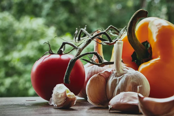 Paprika, Tomaten und Knoblauch — Stockfoto