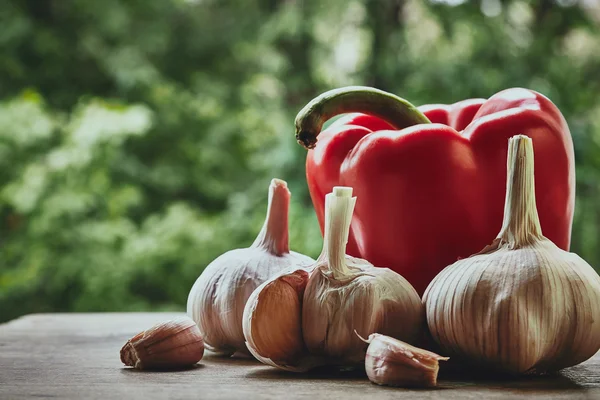 Pfeffer und Knoblauch — Stockfoto