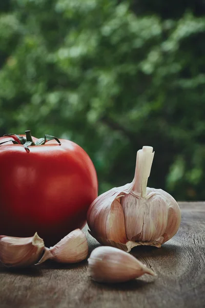 Tomaten- und Knoblauchkopf — Stockfoto
