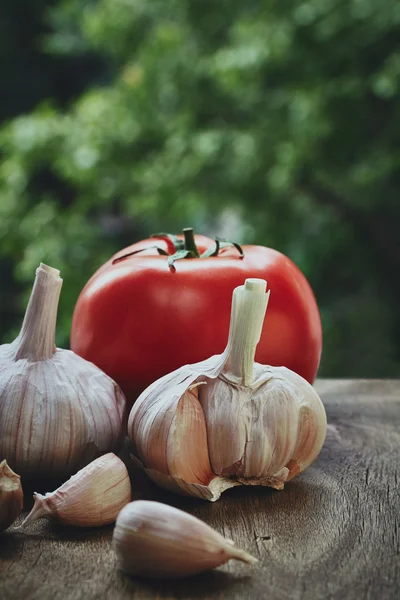 Tomaten- und Knoblauchkopf — Stockfoto