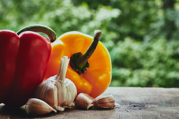 Peppers and garlic — Stock Photo, Image