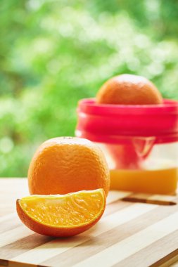 portakal ve meyve sıkacağı