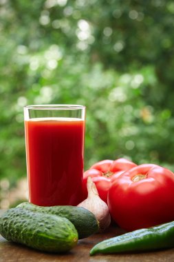 Domates, salatalık, sarımsak, acı biber ve suyu