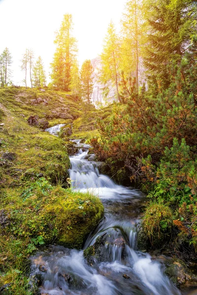 Bellissimo torrente di montagna — Foto Stock