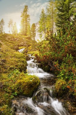 Mountain stream in Dolomites clipart