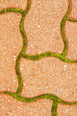 parke taşı döşemesi