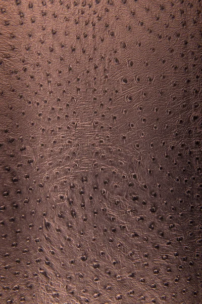 Bronze leopard pattern