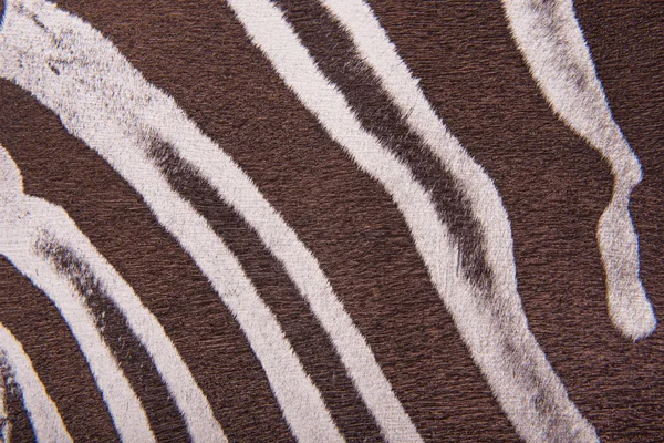 棕色的条纹的斑马毛皮模仿 — 图库照片