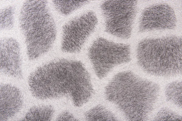 Giraffe fur — Stock Photo, Image