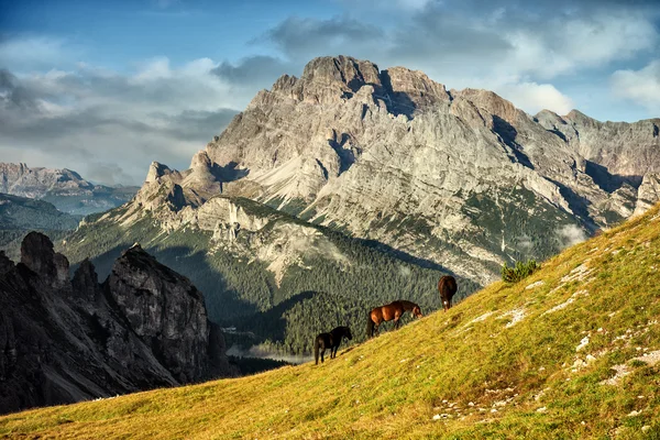 Pferde grasen in der Nähe der kargen Felsen — Stockfoto