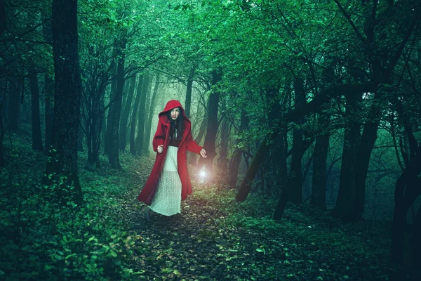 Red Riding Hood in bos — Stockfoto