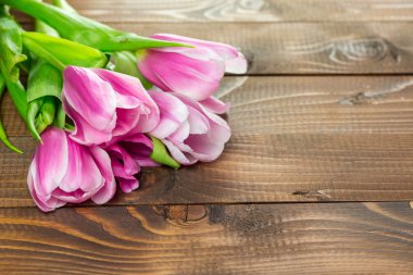 güzel pembe laleler