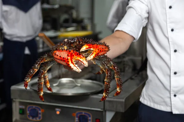 Chef in uniform holds crab in hands, prepares to boil — Stock Photo, Image